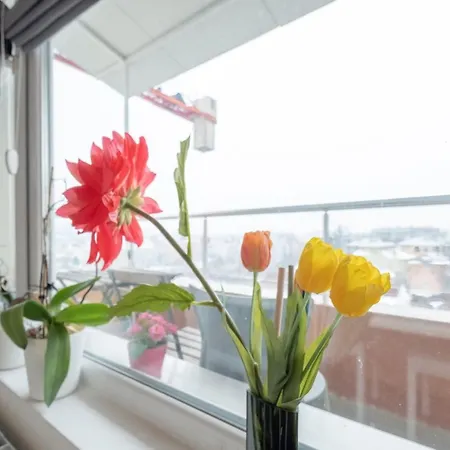 Sunny 1- Bdr In Banishora District Appartement *